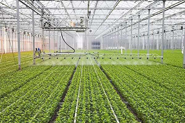 溫室大棚環境監測物聯網解決方案