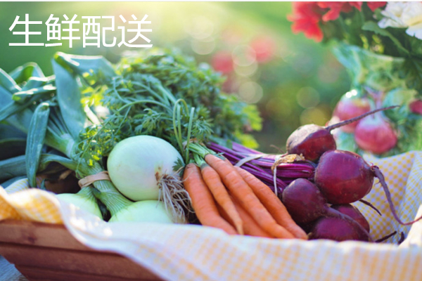 生鮮電商APP開發(fā)